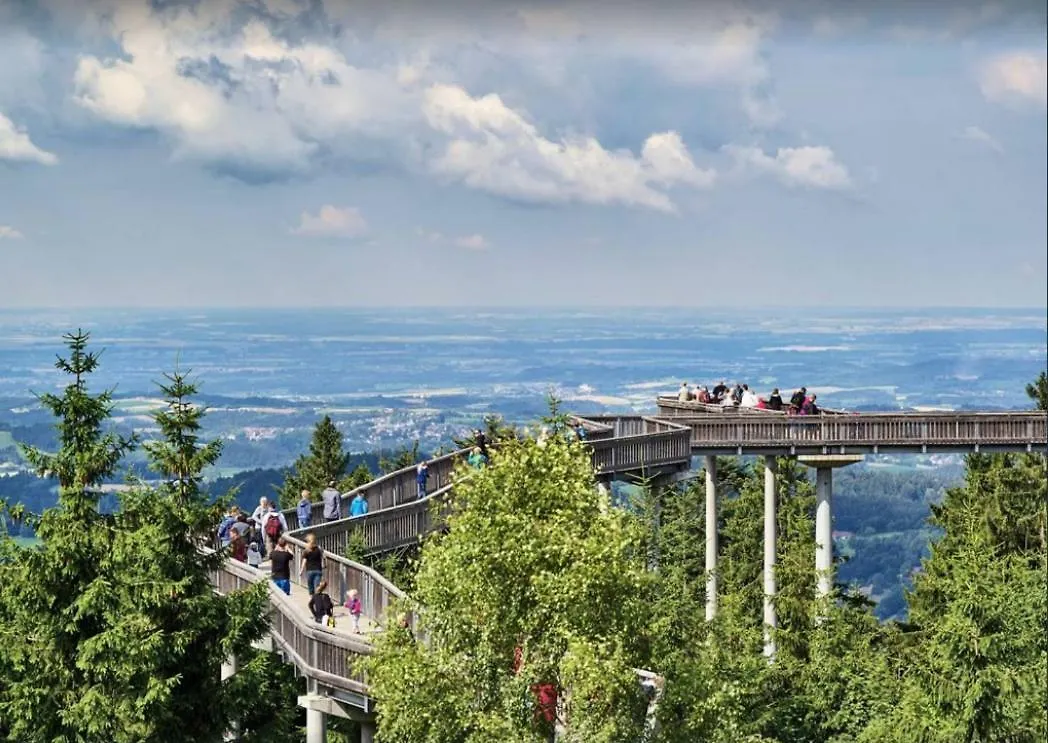 Ferienwohnung mit Blick in den Bayrischen Wald oberhalb von Sankt Engelmar Sankt Englmar